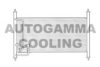AUTOGAMMA 102728 Condenser, air conditioning